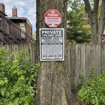 Två skyltar fästa vid en trädstam: "NO PARKING" och "PRIVATE TOW-AWAY ZONE HOUND DOG'S".
